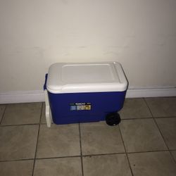 Igloo Cooler New 