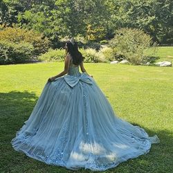 Quincianera Sage Gress Small (2)