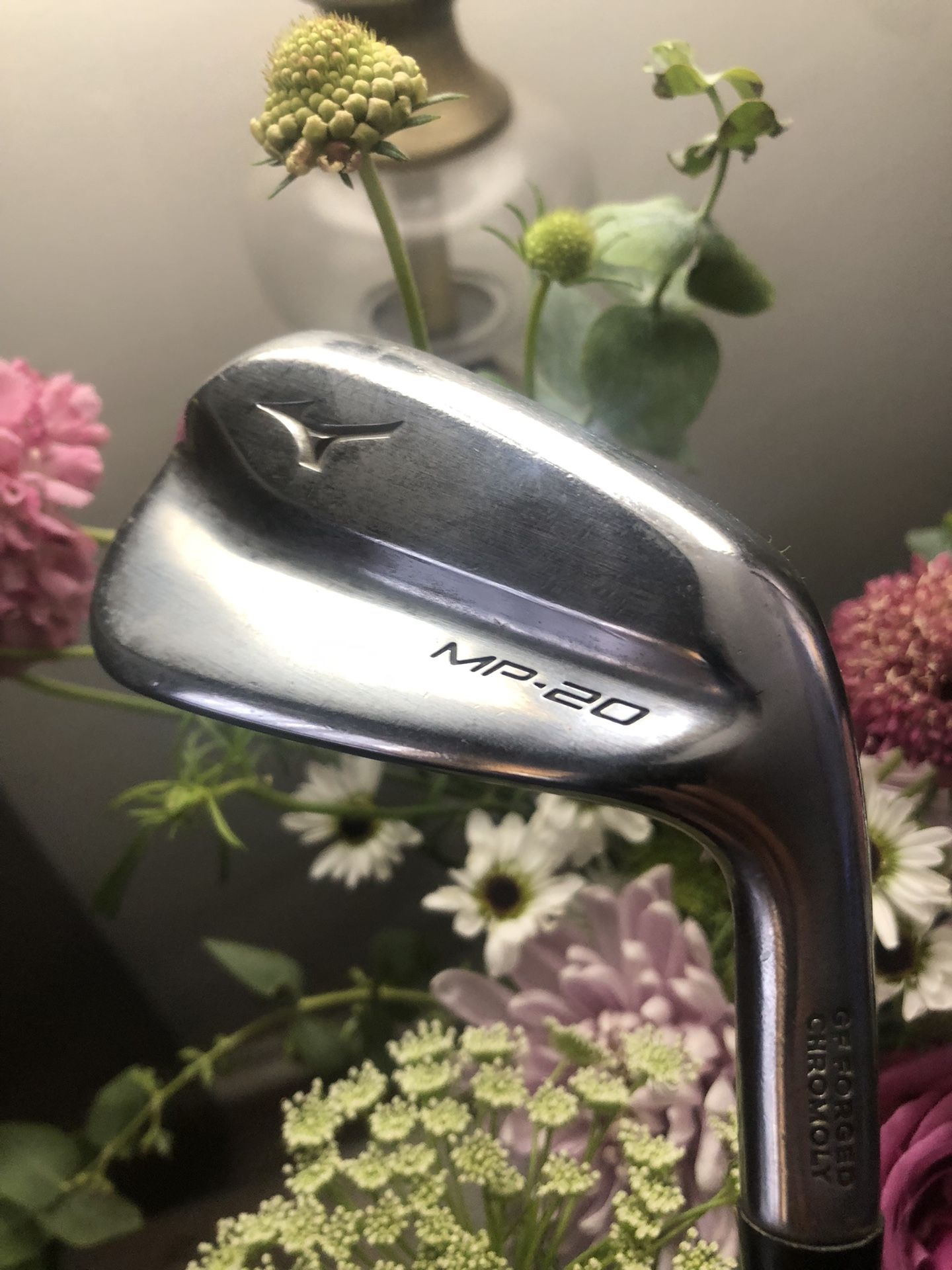 Mizuno Irons