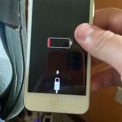 2 iPod Touches 7th Gen 