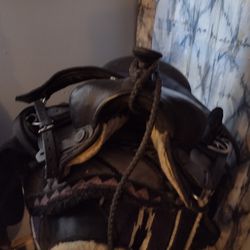 Saddle And Gear