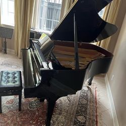 Boston GP-178 Ebony Polish #B160909