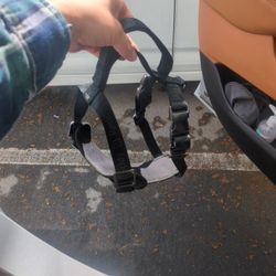 Dog Harness Size L