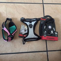 harness For Small Dog/Dog Leash