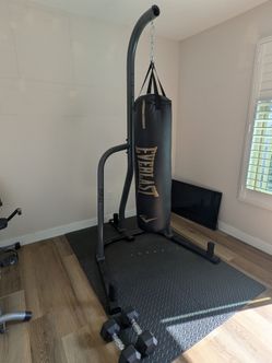 100-120lb punching bad, holder, and mat