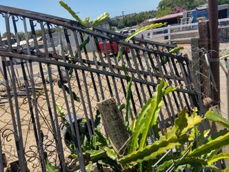 Iron gate
