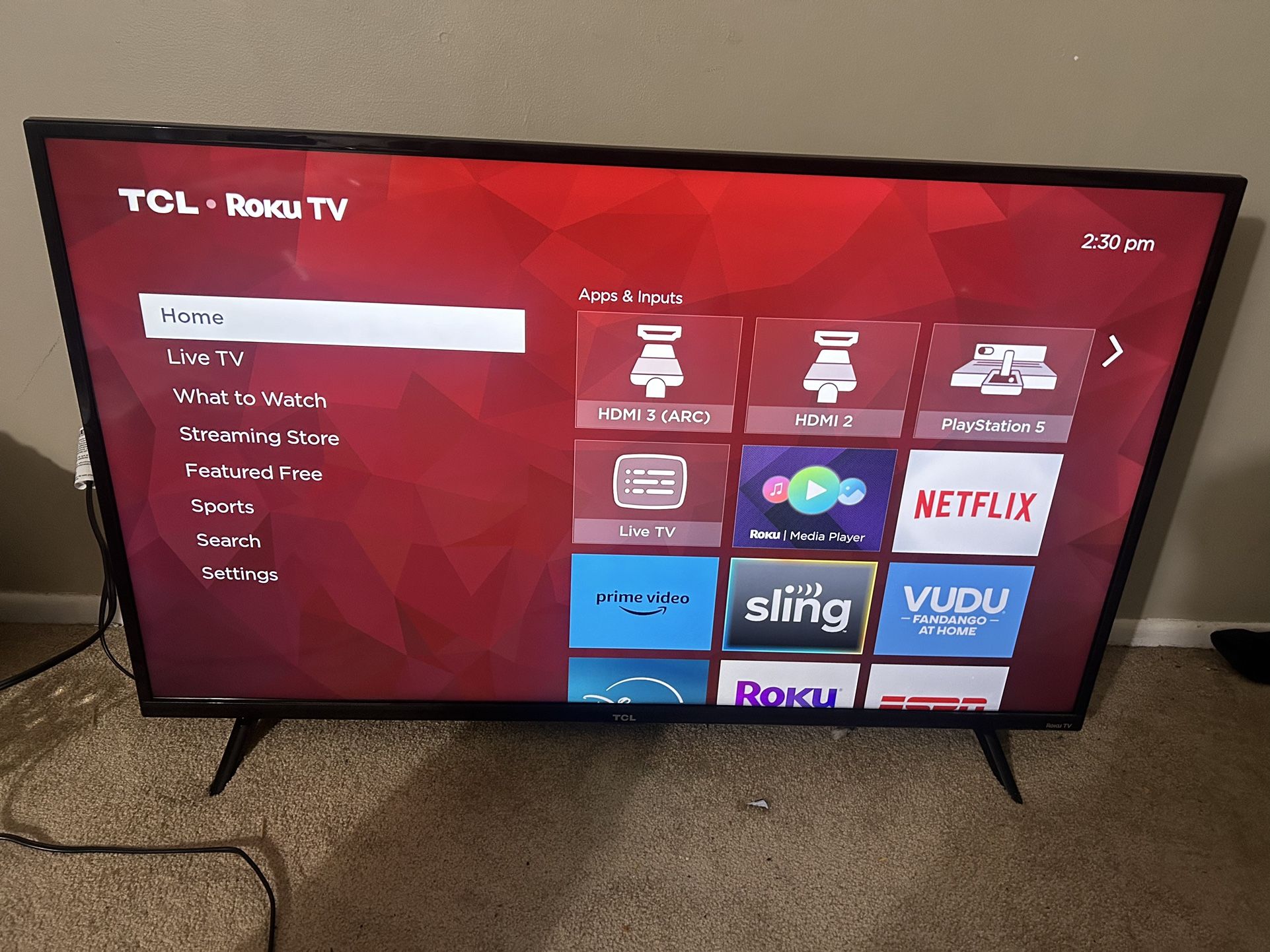43 Inch TCL Roku TV (Price Is Negotiable)