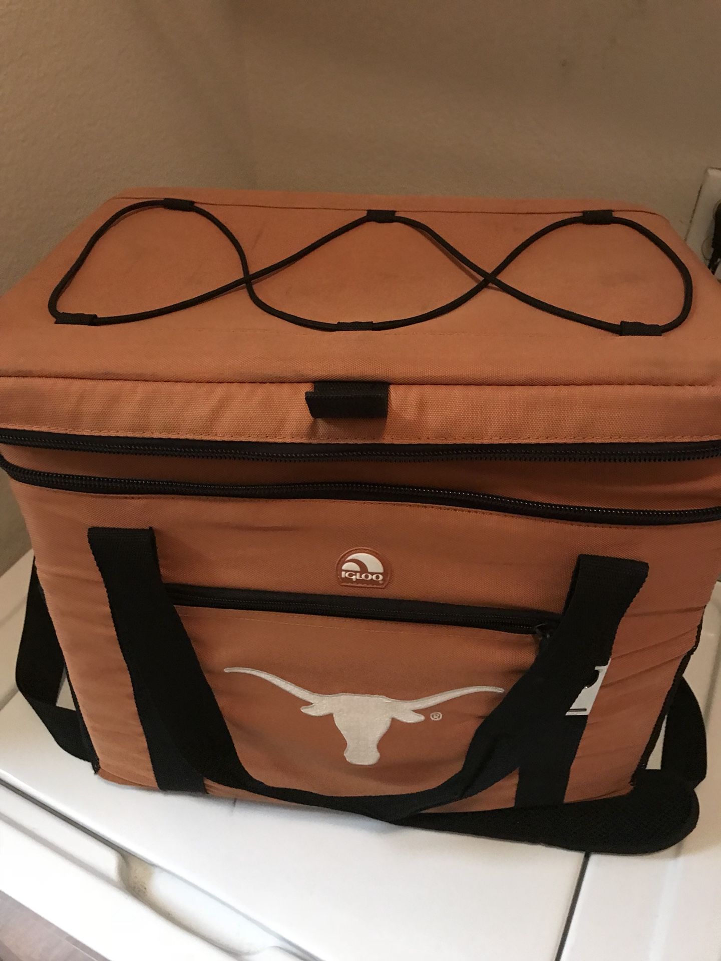 Texas longhorn igloo soft cooler