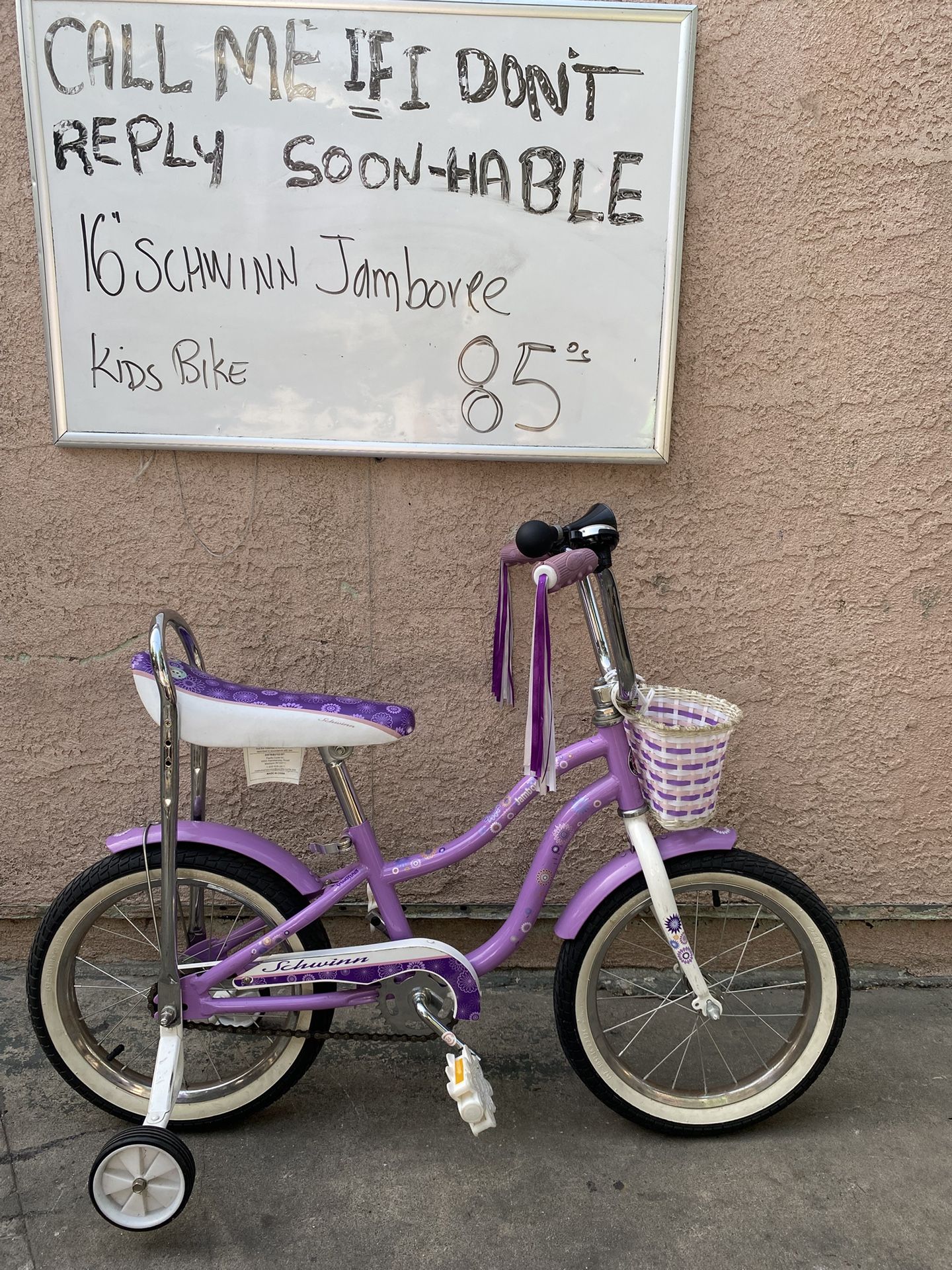 Schwinn Jumperoo Bike
