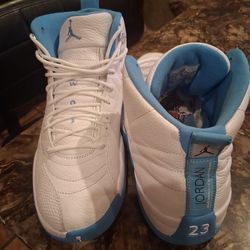 JORDAN (MELO) 💯 AUTHENTIC SIZE 11.5