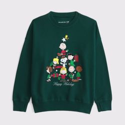 Kids Size 13/14 Snoopy Christmas Sweater