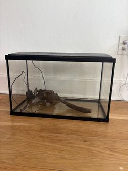 10 gallon aquarium