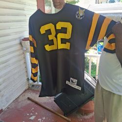 Chicago hornets Jersey