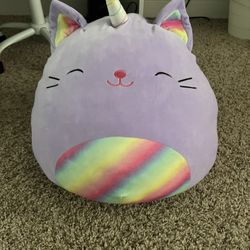 Newer Squishmallow 