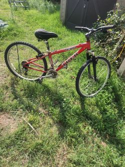 TREK 4300