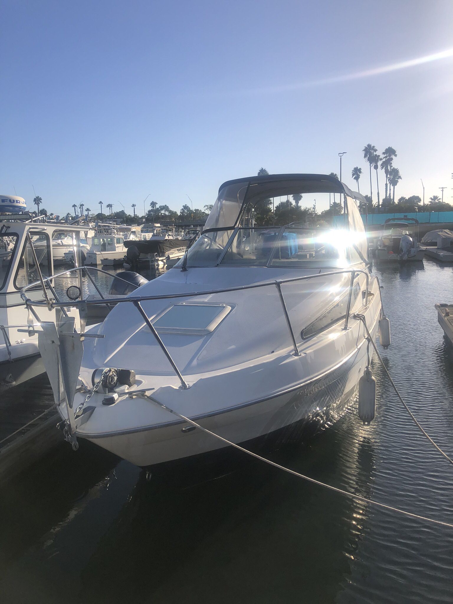 Bayliner Cierra 2000