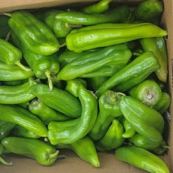 Free Produce Giveaways 