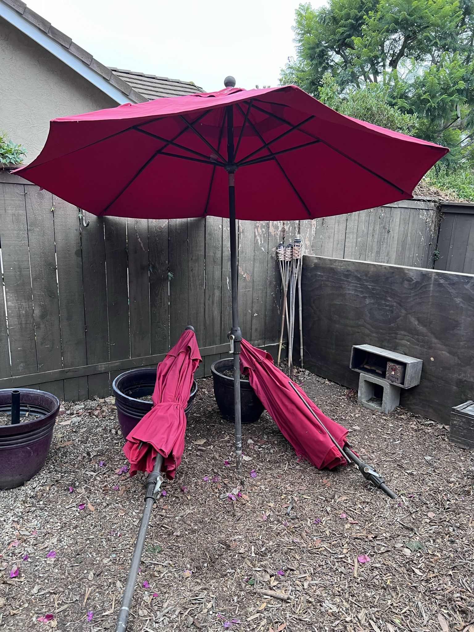 Red Umbrellas