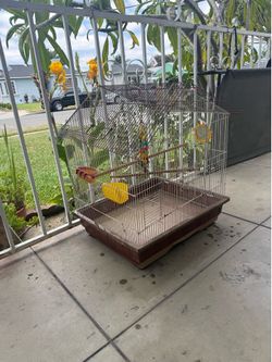 Bird cage / jaula para pájaros