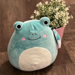 8” Ludwig the frog squishmallow