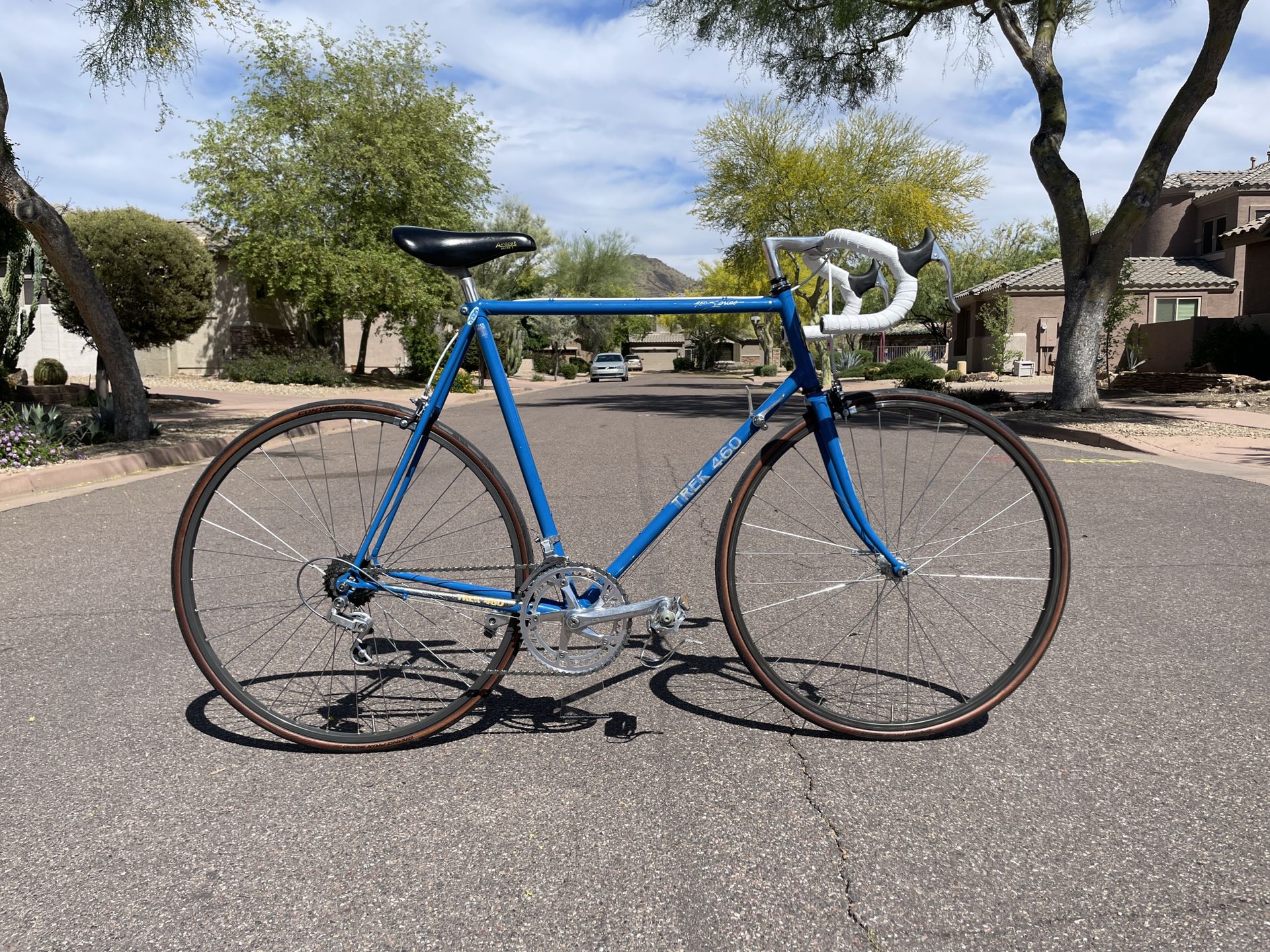 1984 Trek 460 Racing Bike (24" Frame)