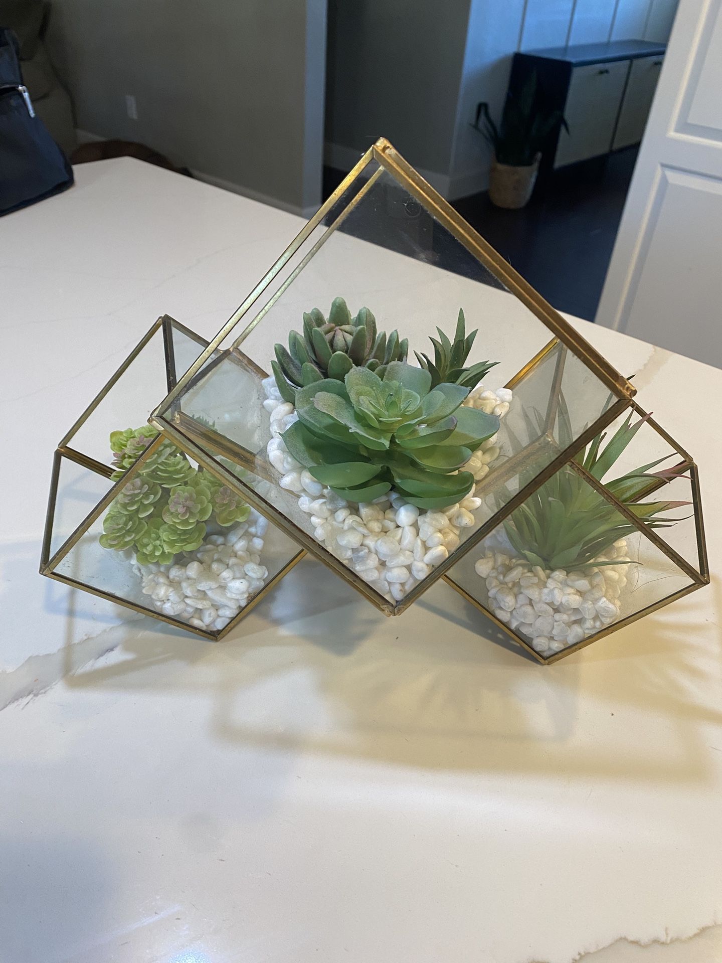 Free Brass And Glass Artificial Plant Terrarium
