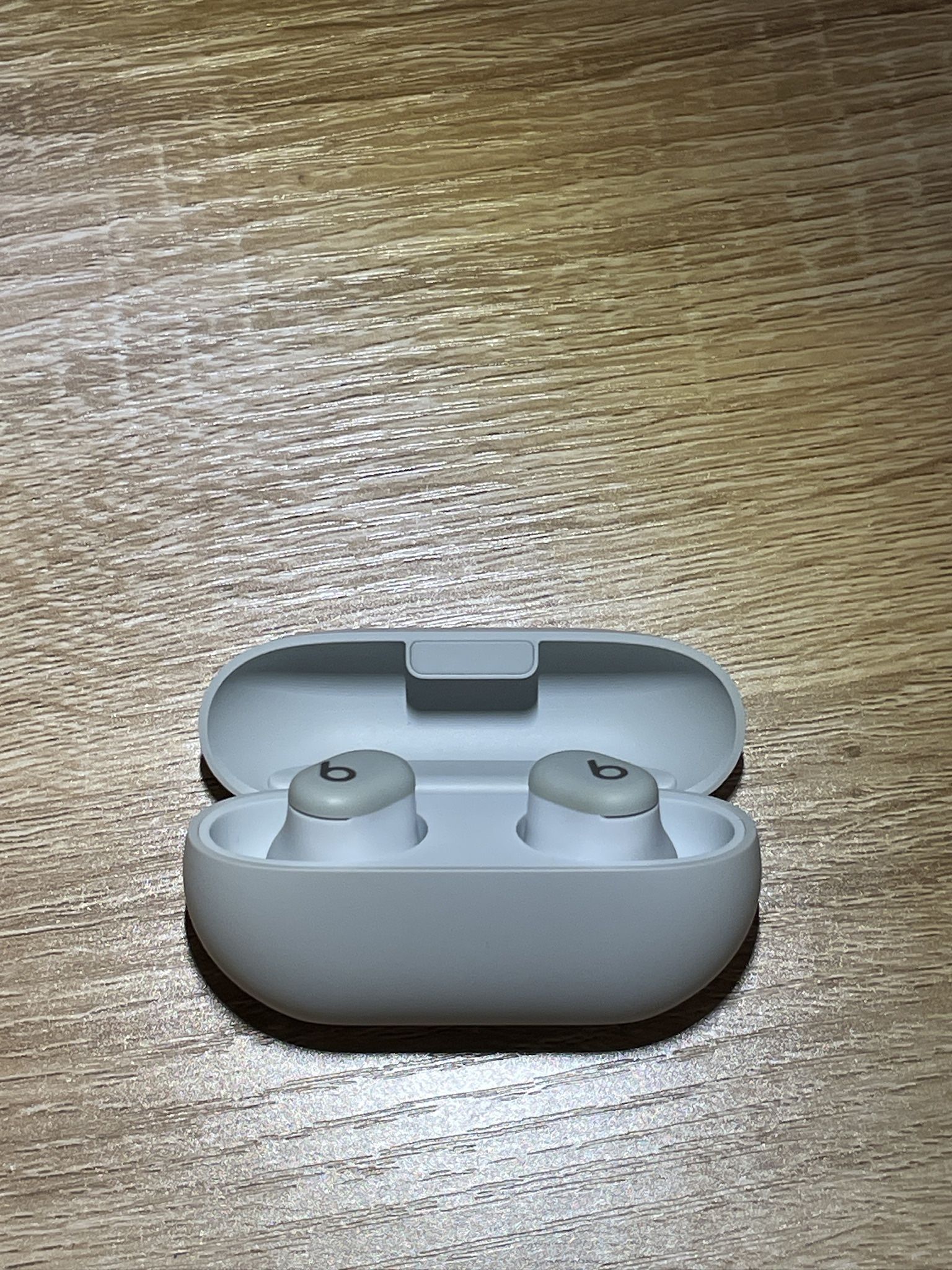 Beats Solo Buds Storm Gray