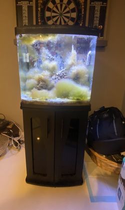Bio cube 32 Gallon With Live Rock And Sand 