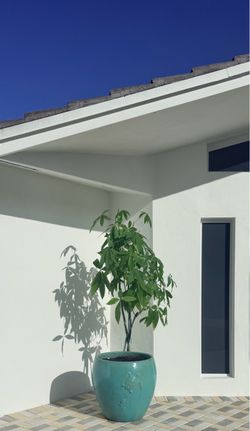 Ceramic  Plant Pot Big (set of two or individual)