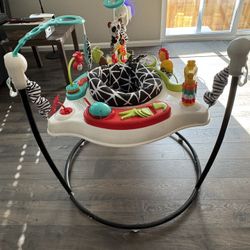 Fisher Price Baby Bouncer