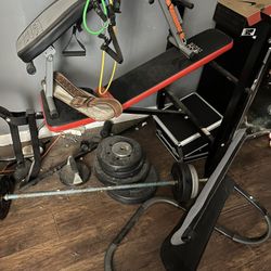 Lots Of Gym Equipment 