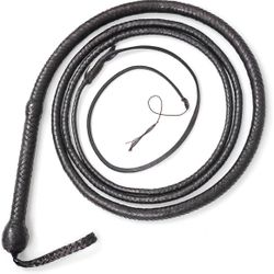 Bull Whip