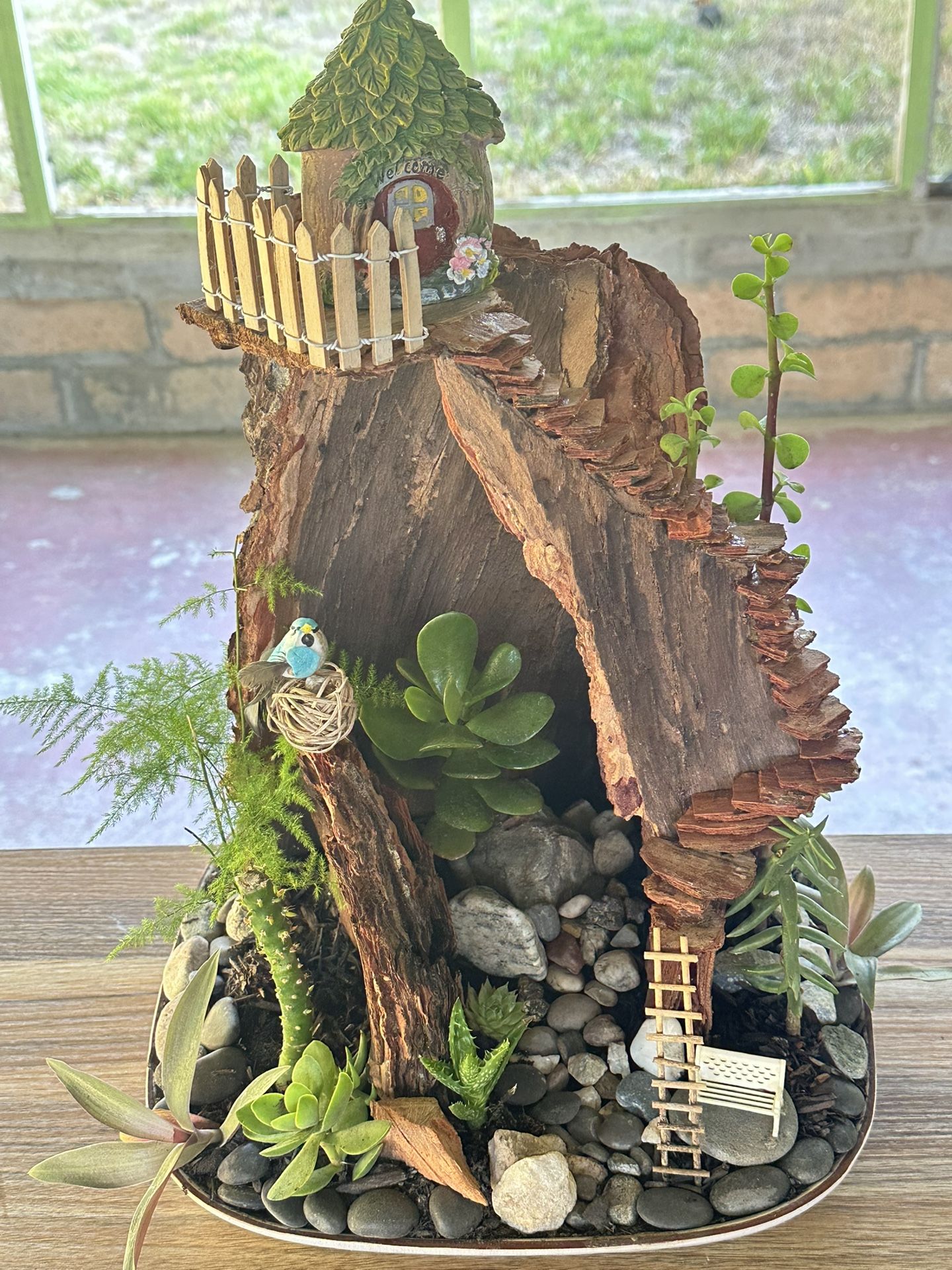 Succulent Arrangement