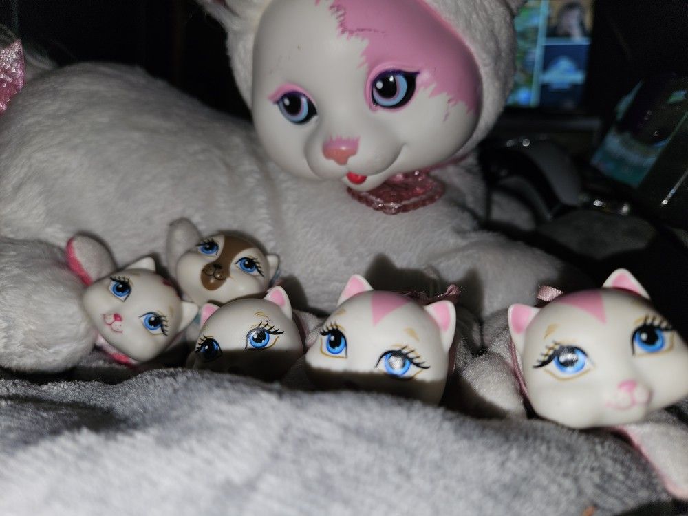 Kitty Surprise: Snow 2015