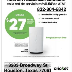 Cricket 
