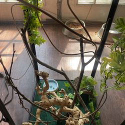 Zoo Med Repti Breeze Chameleon Kit