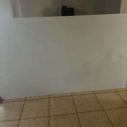 Projector Screen 100 Dollars Or Best Offer 