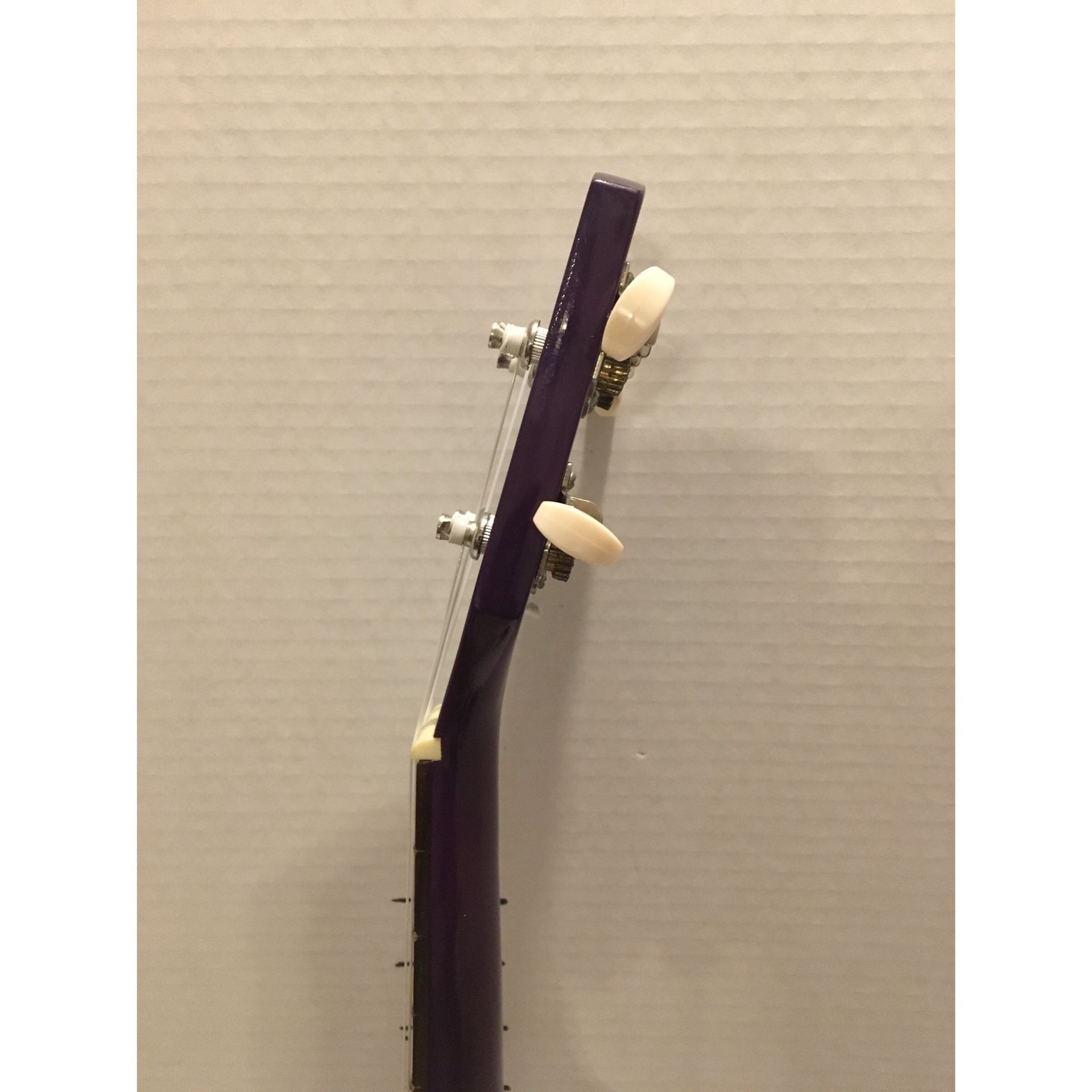 Hola! Ukuleles 21” Model HM 21PP Purple