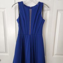 Short Royal Blue Dress (XS / S - 0)