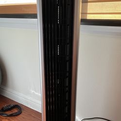 Fan ( Bionaire Brand)