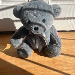 Teddy Bear Brand New $5