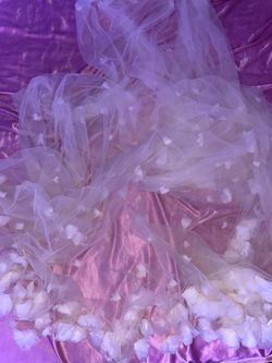 Long White Wedding Veil