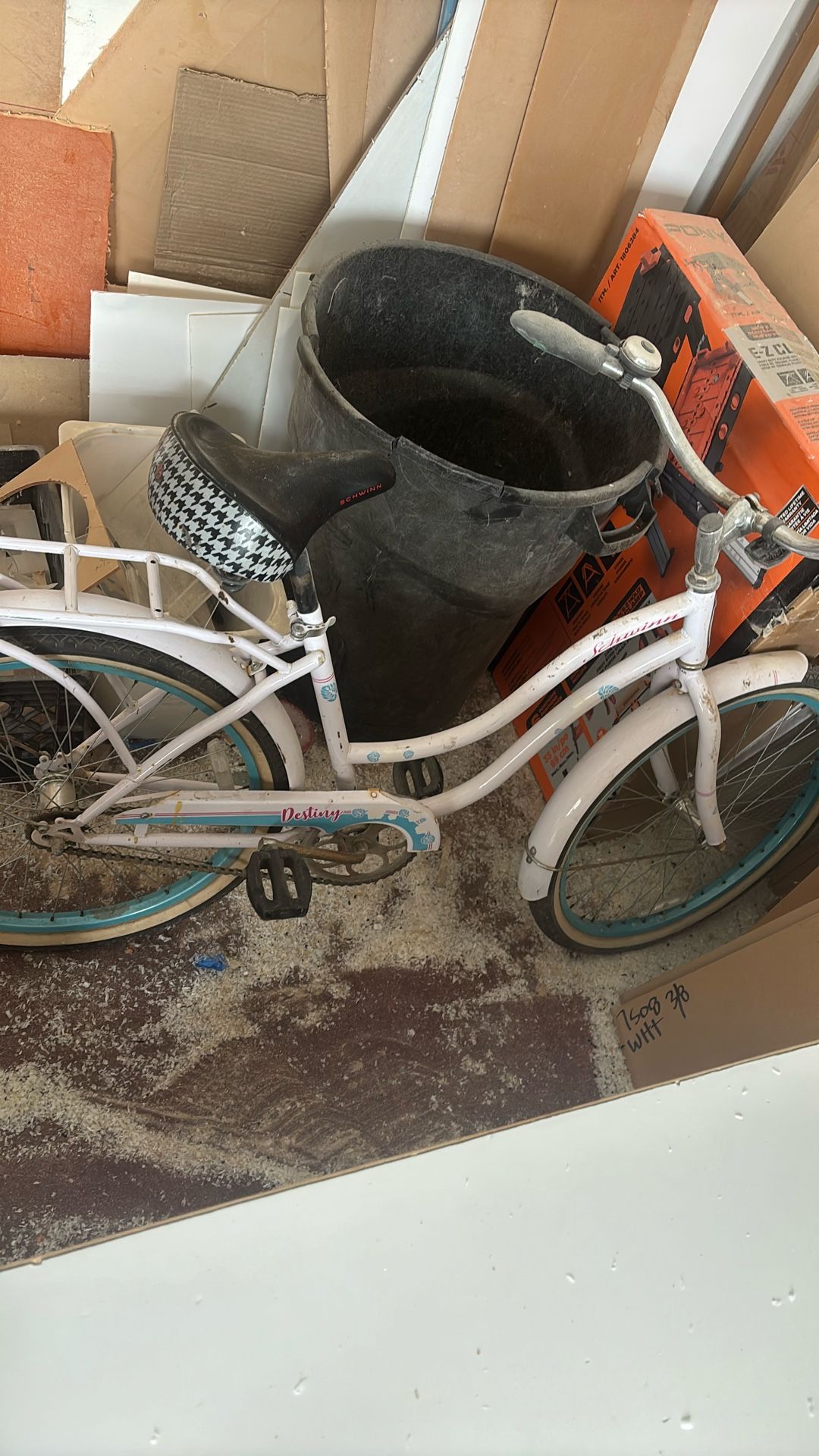 Beach Cruiser