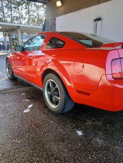 2006 mustang