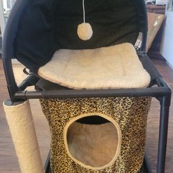 Detachable Cat Bed and Activity Platform 