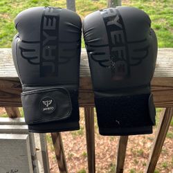 Jayefo Boxing Gloves