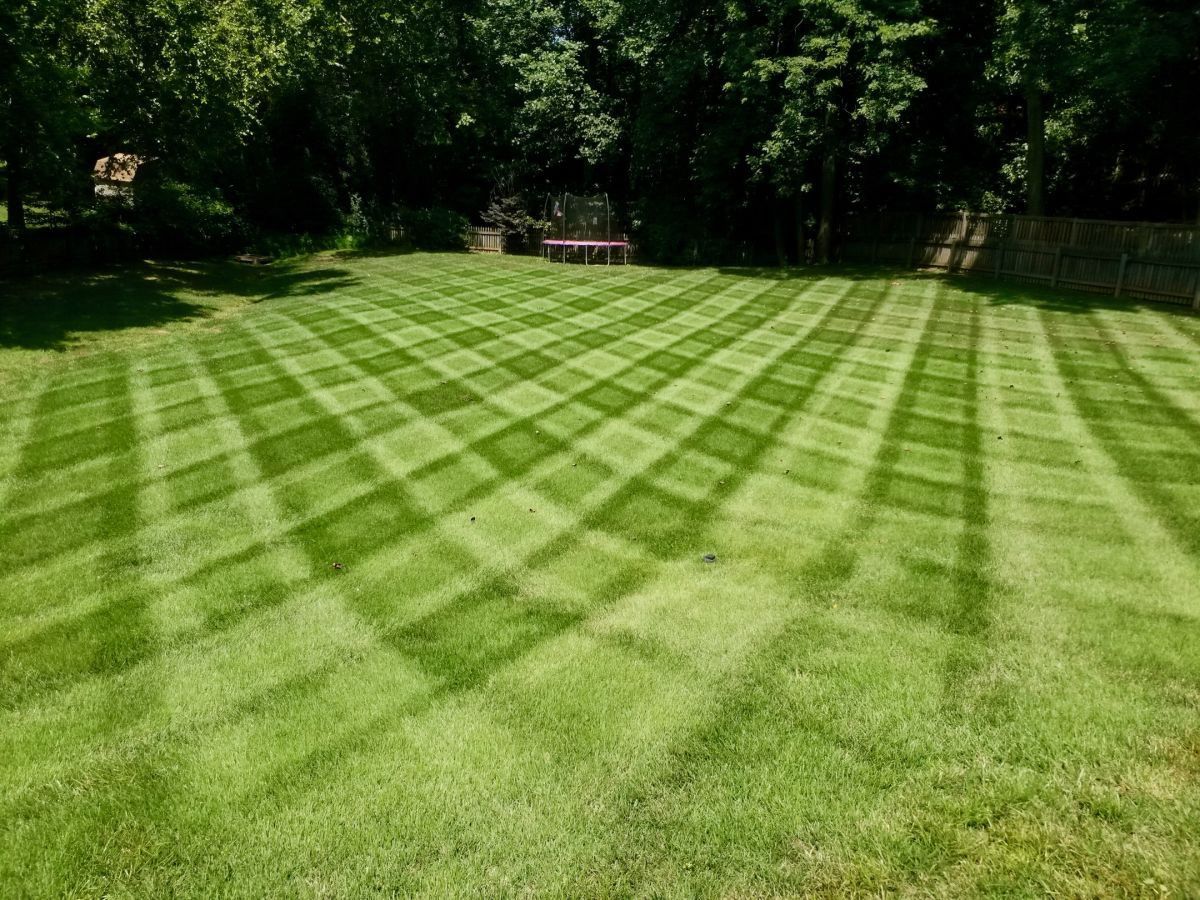 Grass Cutting