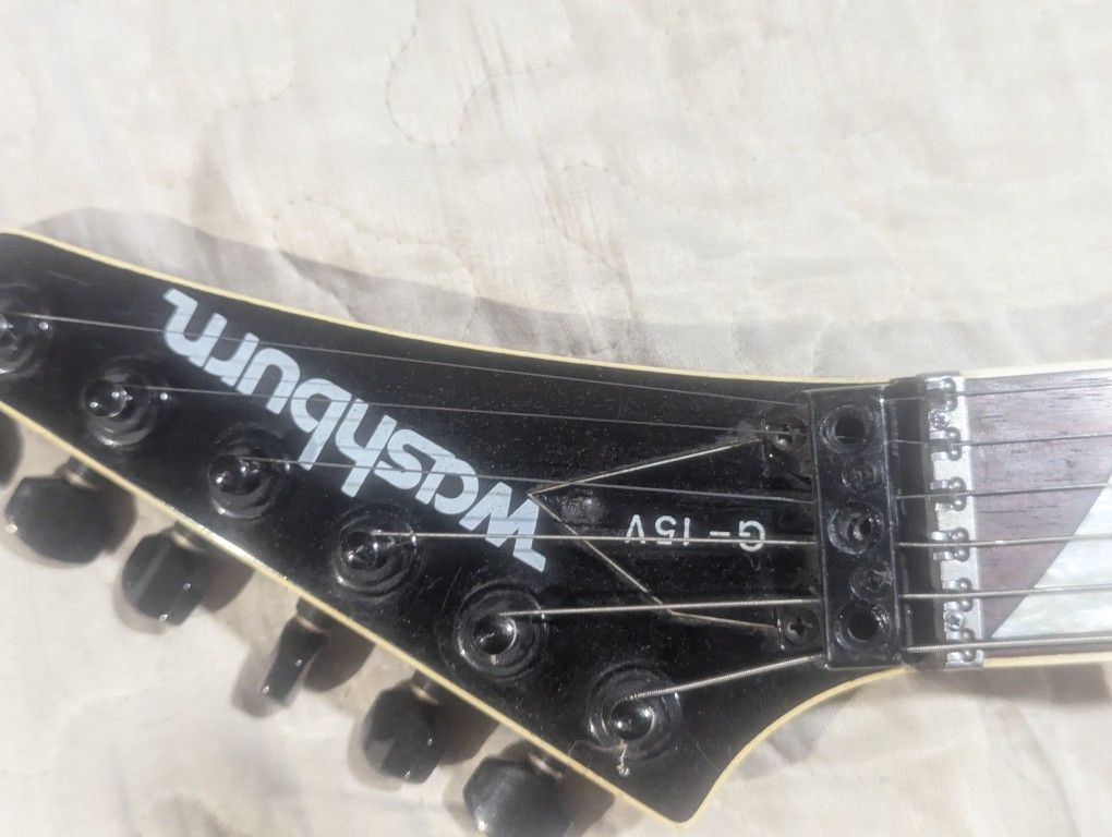 Washburn G-15v