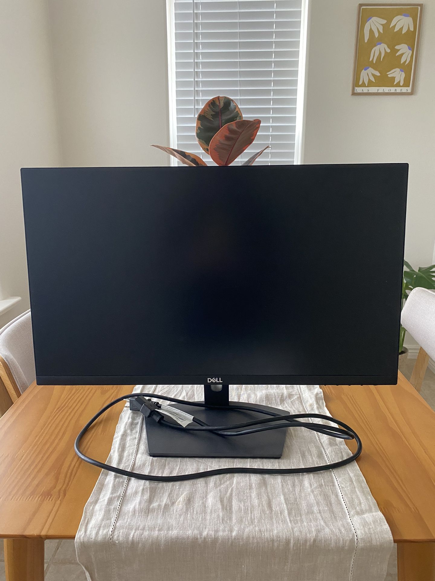 Dell Monitor 