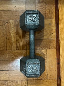 25 lb Dumbbell